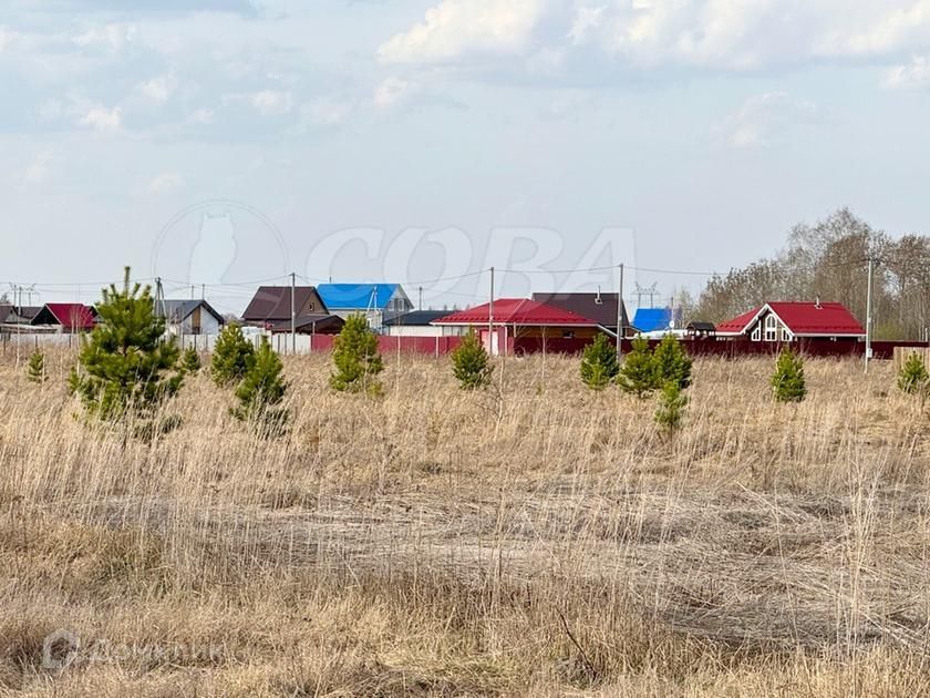 земля р-н Тюменский село Борки фото 3