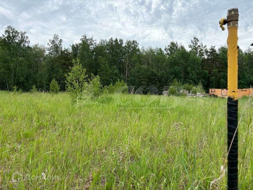 земля р-н Тюменский д Падерина ул Луговая фото 3