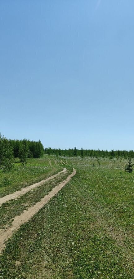 дом р-н Балахнинский рп Лукино ул Рогожиной 13 Лукино фото 35