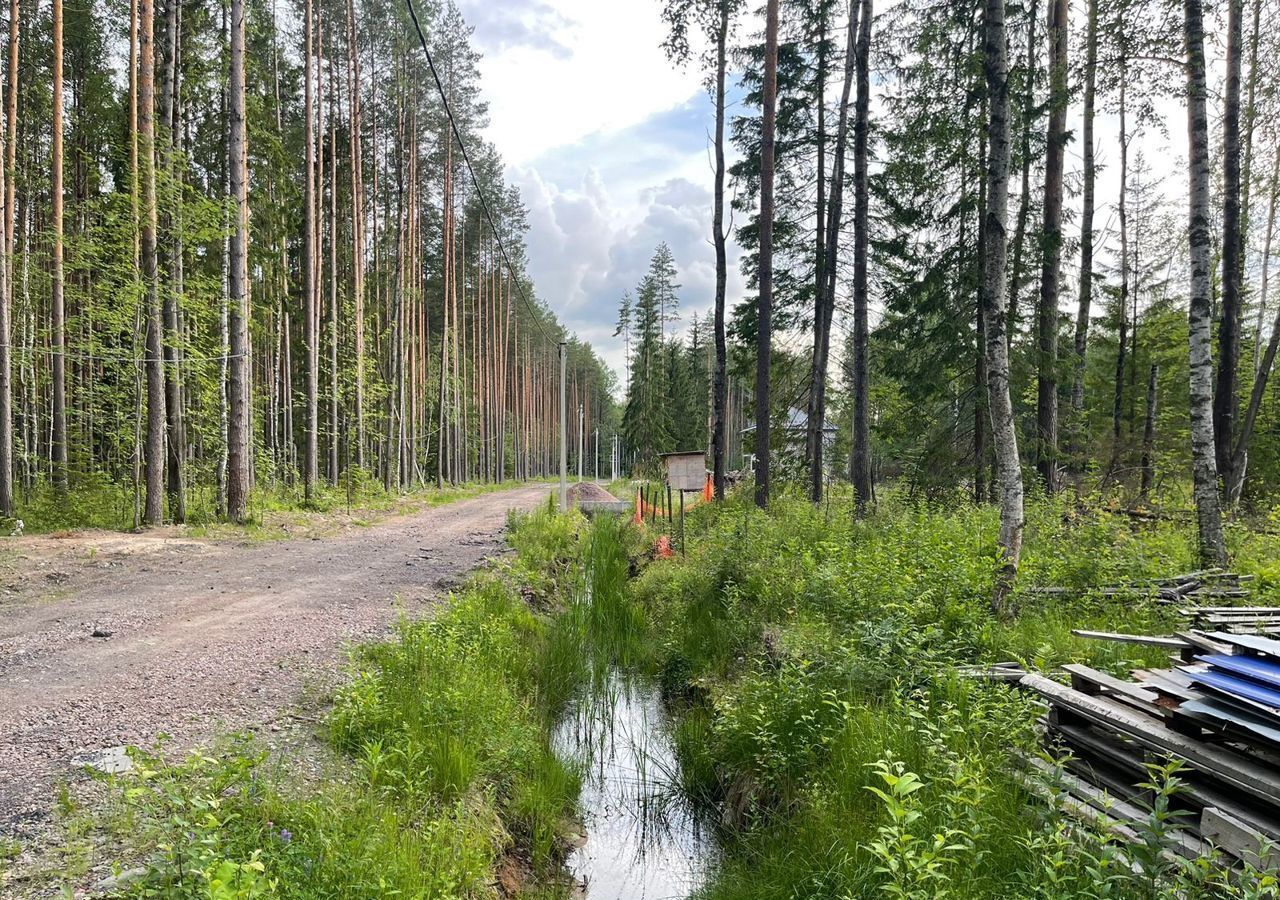 земля р-н Всеволожский д Хапо-Ое Колтушское городское поселение, коттеджный пос. Подберёзовик фото 2