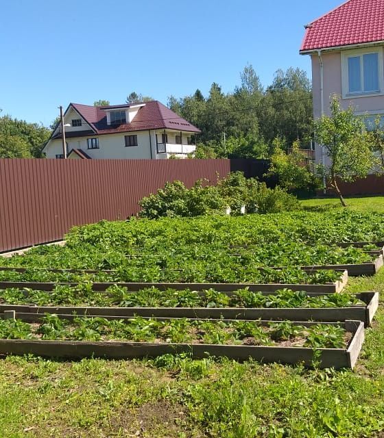 земля р-н Ломоносовский городской посёлок Большая Ижора, Нагорная улица фото 1