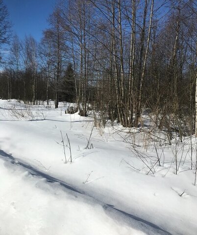 снт Агат Центральная улица фото