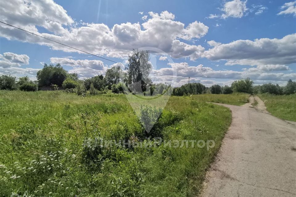 земля р-н Михайловский деревня Ново-Николаевка фото 3