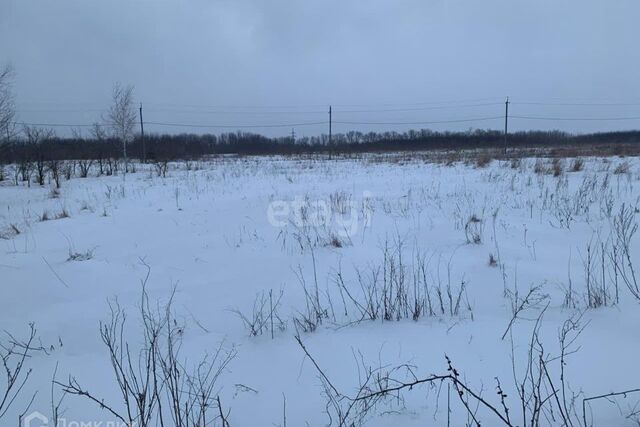 земля деревня Ивницы фото