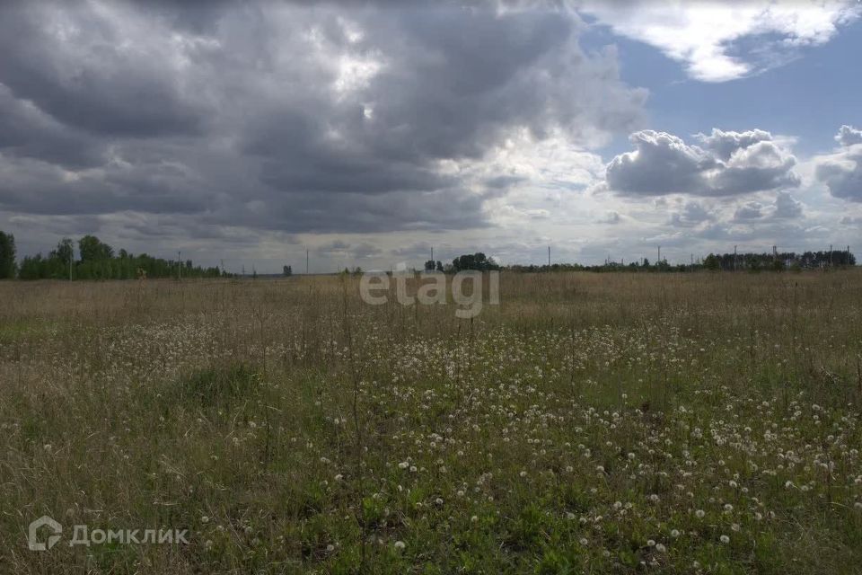 земля р-н Елабужский село Танайка фото 4