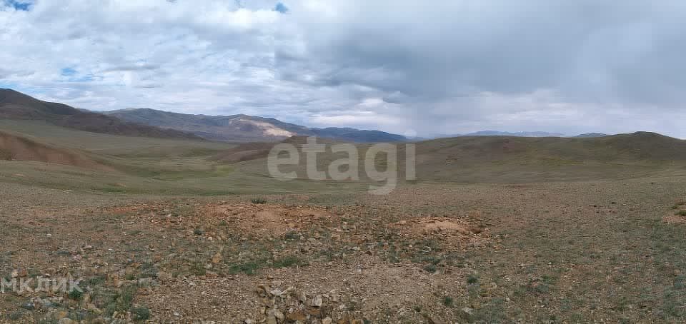 земля р-н Кош-Агачский село Теленгит-Сортогой фото 10