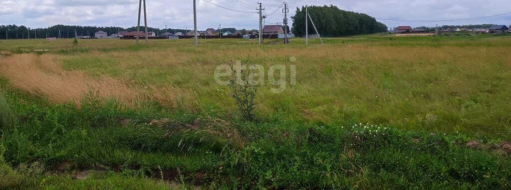 земля р-н Омский с Усть-Заостровка ул Березовая Усть-Заостровское сельское поселение фото 2