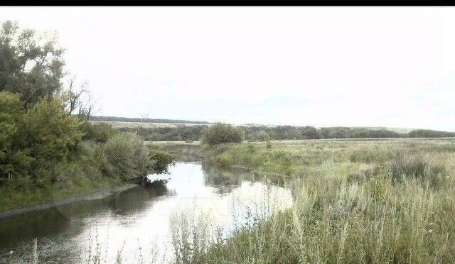 земля ул Свияжская Цильнинское городское поселение фото