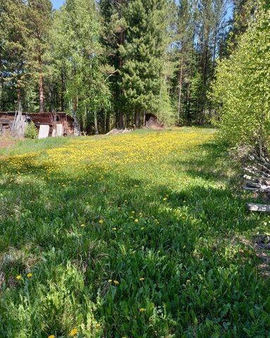 земля Подкаменское муниципальное образование, Большой Луг фото