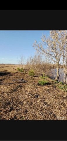 Адав-Тулумбаевское сельское поселение, Буинск фото