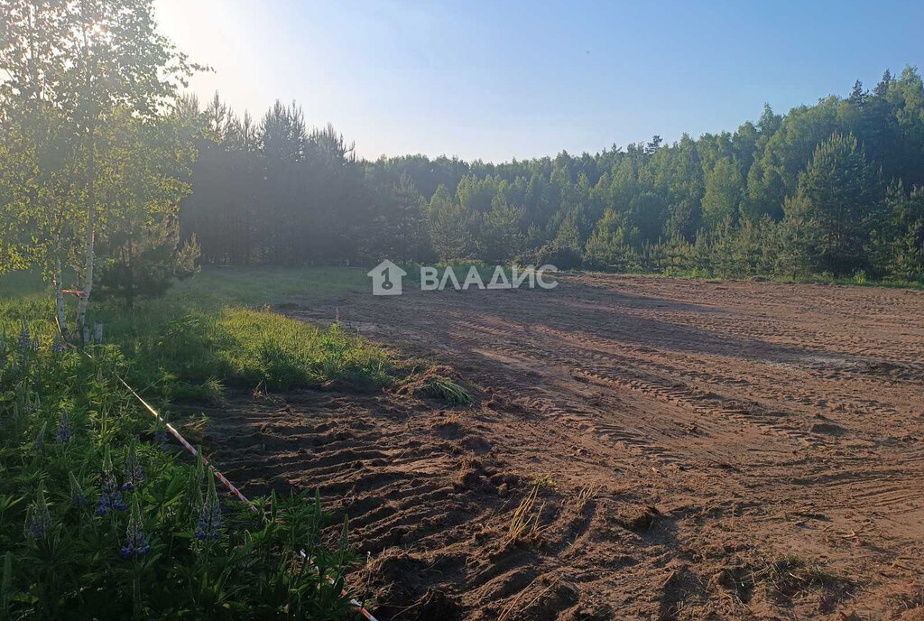 земля р-н Судогодский с Чамерево ул Дачная фото 3