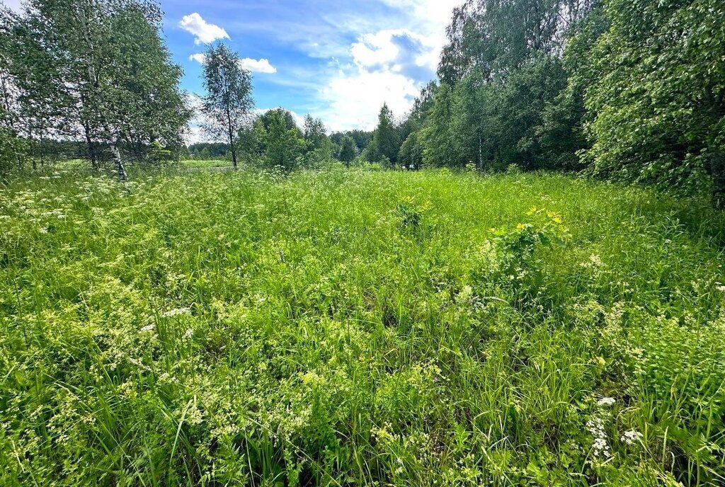 земля городской округ Истра д Сафонтьево фото 14