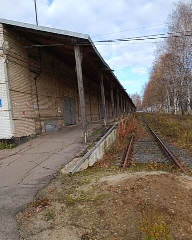 п Великий р-н Фрунзенский 10 фото