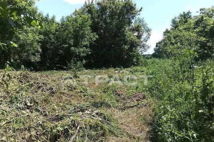 земля р-н Рамонский с Пчельники ул Центральная Ступинское сельское поселение, Рамонь фото 4