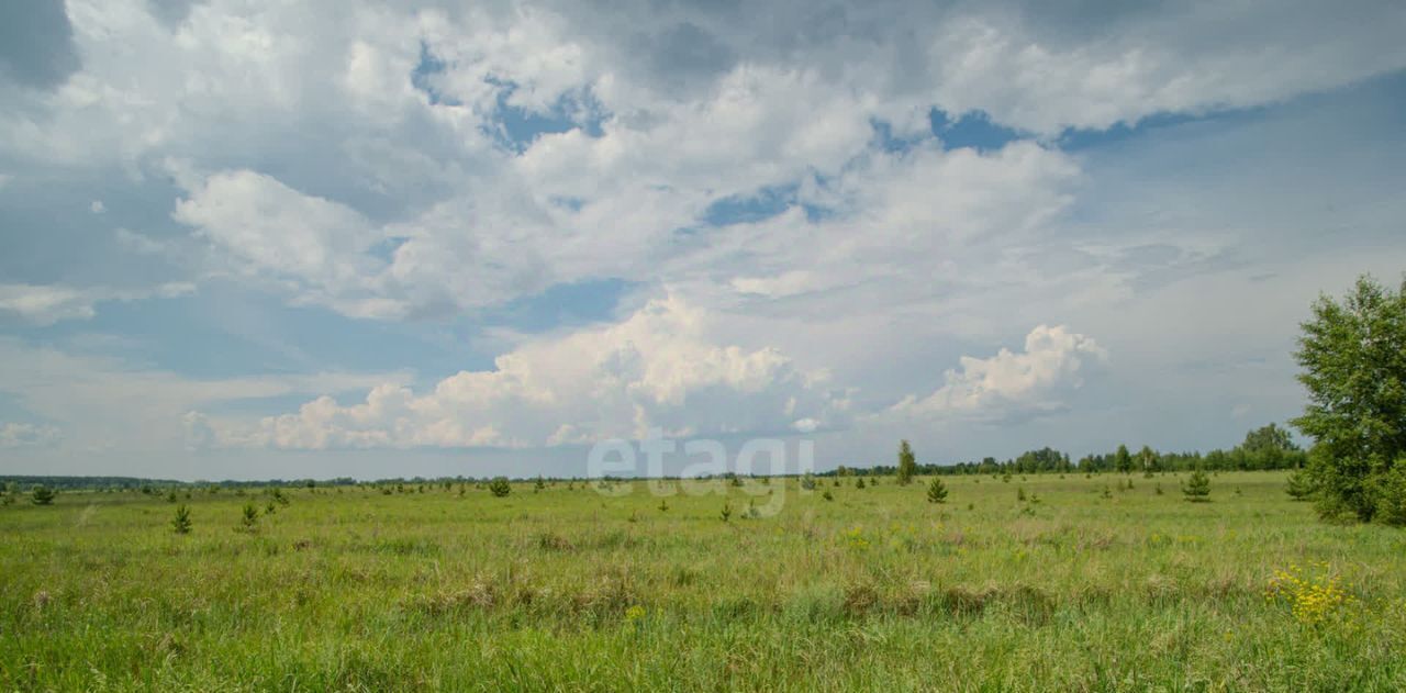 земля г Ульяновск р-н Заволжский ул Чердаклинская фото 4