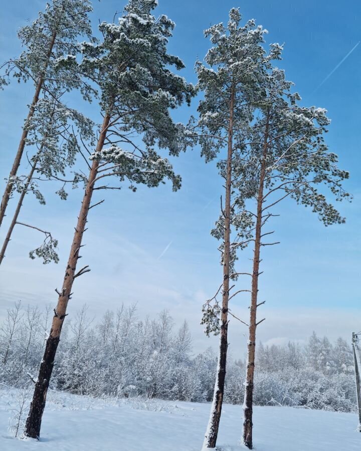 земля городской округ Раменский с Речицы коттеджный пос. Фенино Лесное фото 15