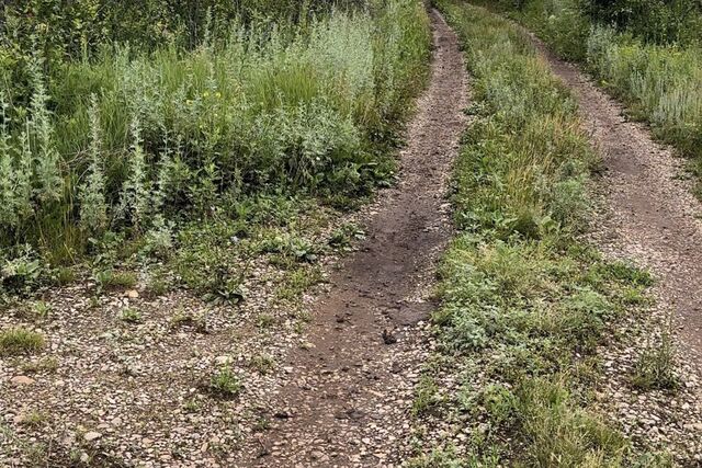 городской округ Октябрьский, СНТ Ягодка фото