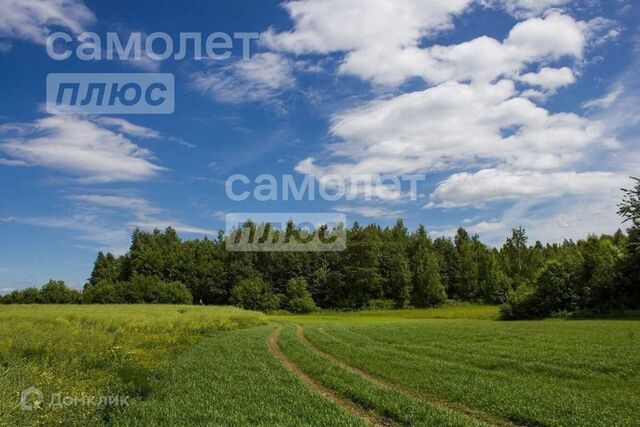 ул Юбилейная сельское поселение Выльгорт фото