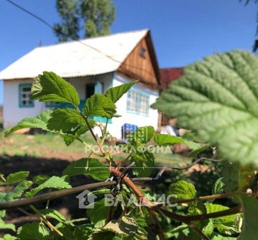 Каменка СНТ, ул. Дачная фото Каменка СНТ, ул. Дачная фото