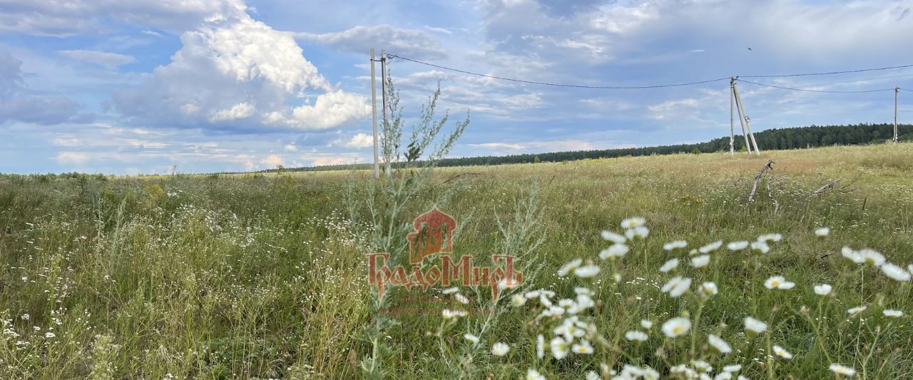 земля р-н Александровский с Махра Каринское муниципальное образование фото 2