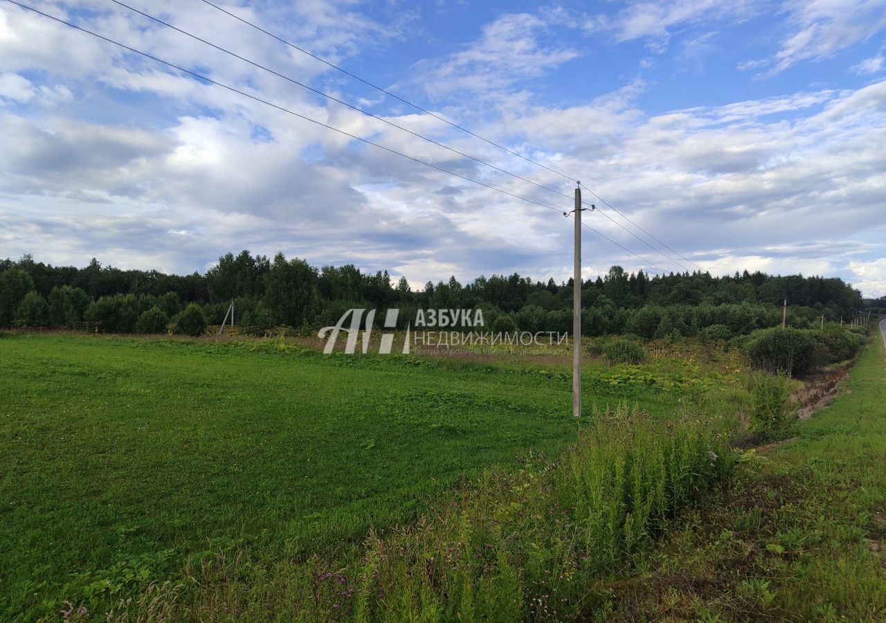 земля городской округ Рузский д Мытники ул Луговая Руза фото 4