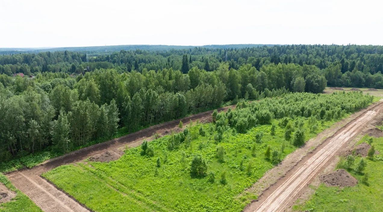 земля городской округ Дмитровский с Храброво Солнечногорск, Рогачёвское шоссе фото 7