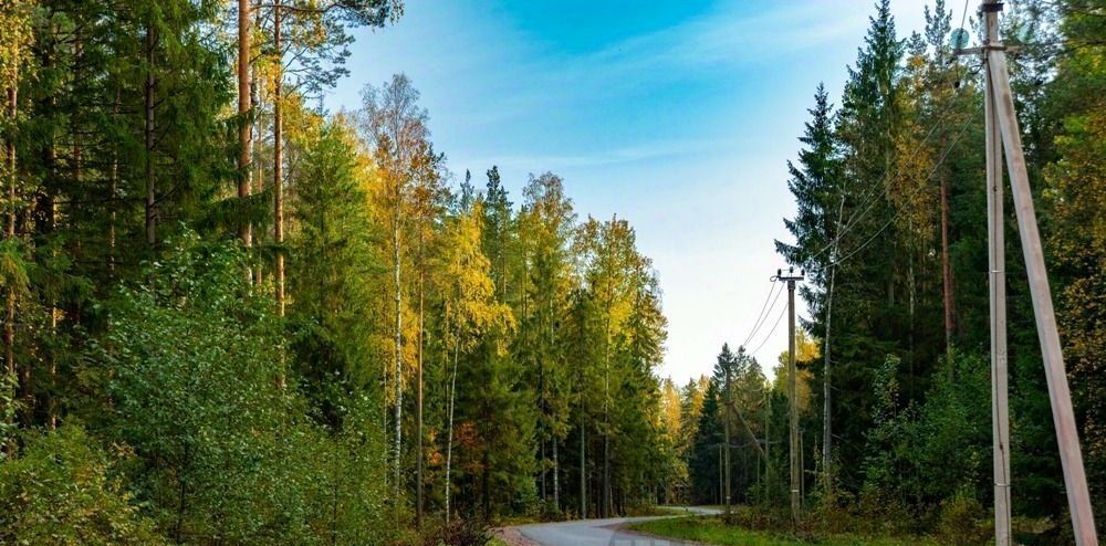 земля р-н Всеволожский Заневское городское поселение, ш. Колтушское фото 9