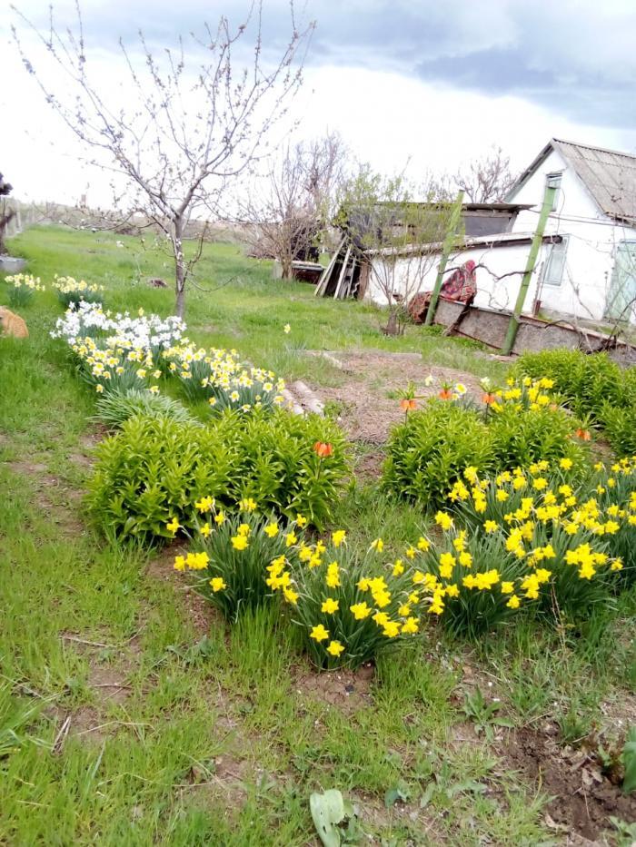 дом р-н Сакский с Сизовка д. 26 фото 34