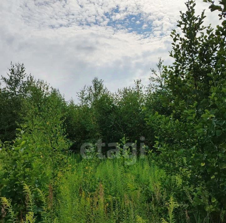 земля р-н Богородский д Гремячки ул Хабаровская фото 3