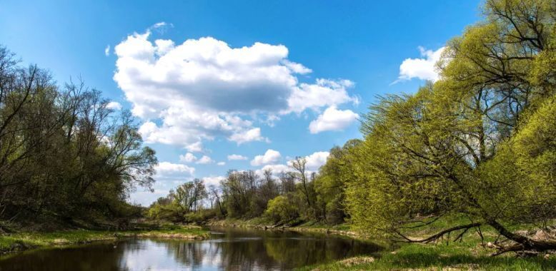 земля городской округ Чехов СНТ «Вишнёвый Парк», Августовская улица фото 12