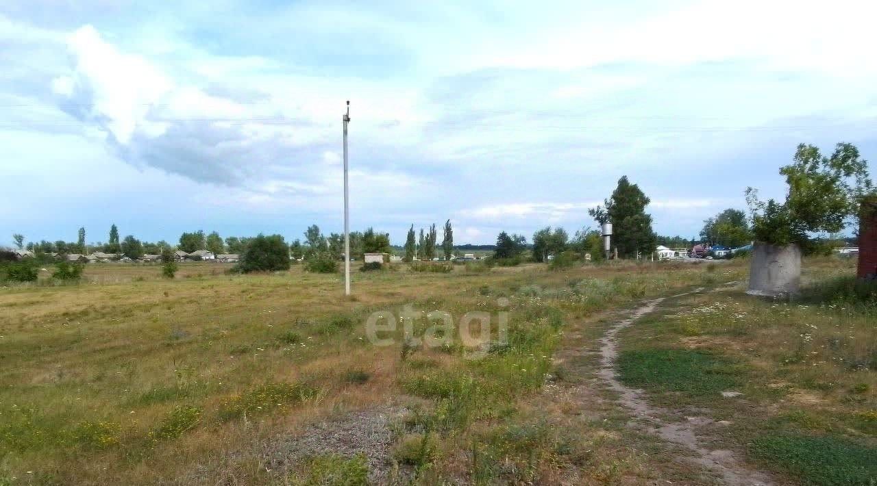 земля р-н Чернянский с Волоконовка ул Луговая Волоконовское с/пос фото 5