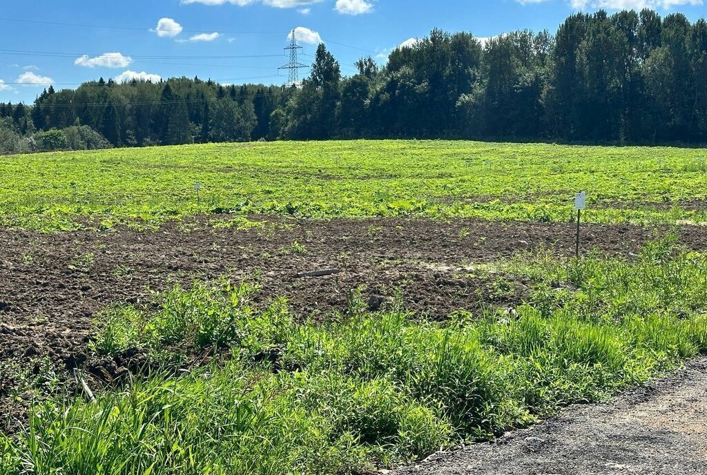 земля городской округ Дмитровский коттеджный поселок «Сорочаны» городской округ Клин фото 19