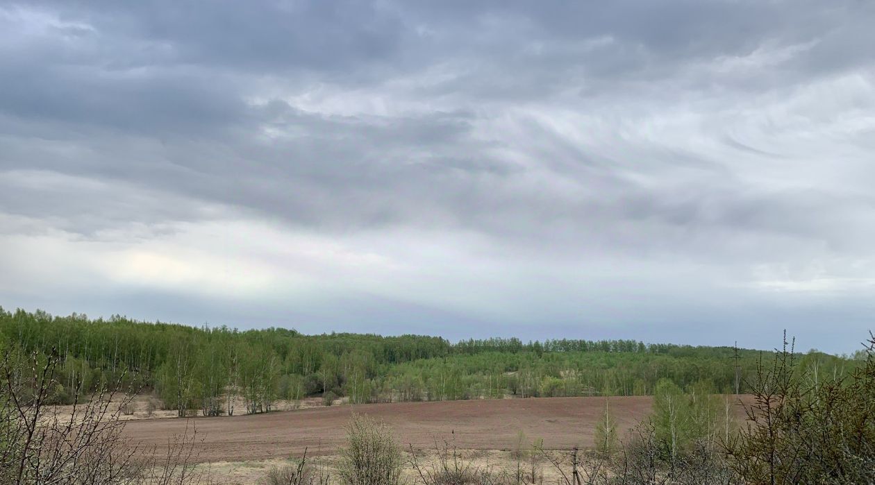 земля р-н Городецкий снт Мечта Кстовский муниципальный округ фото 4