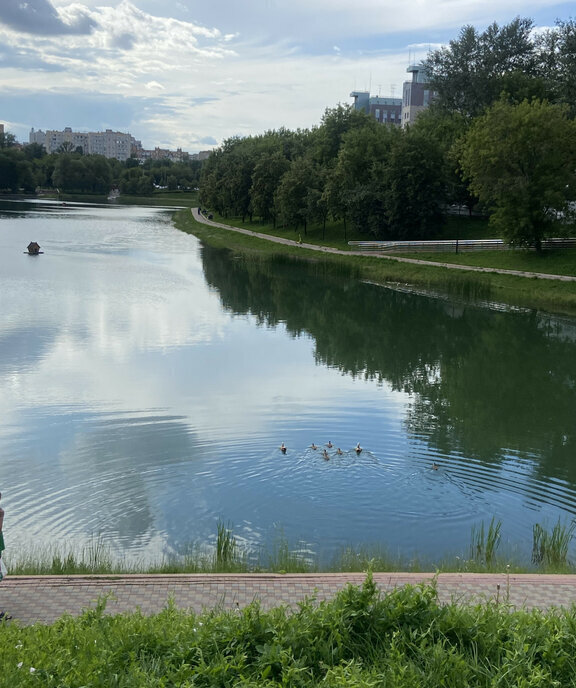 комната г Москва метро Калитники ул Чесменская 5 муниципальный округ Таганский фото 7