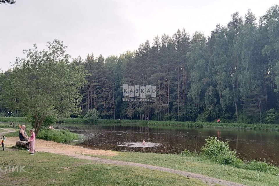 земля г Пушкино Заветы Ильича проезд Чапаева городской округ Пушкинский фото 2