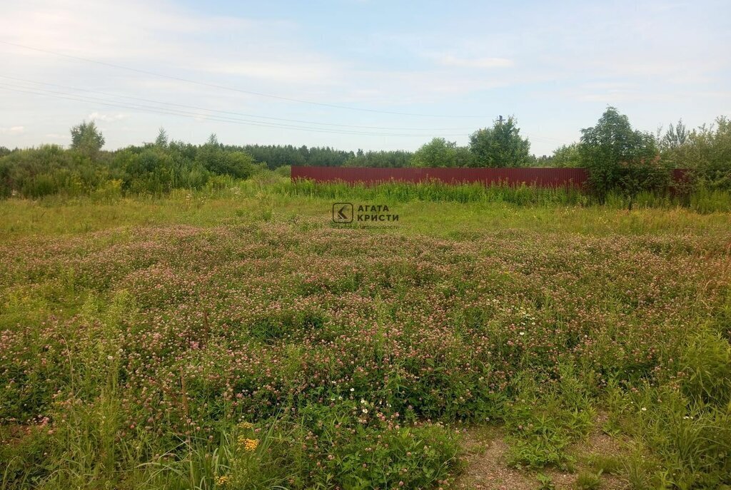 земля городской округ Павловский Посад п Большие Дворы ул Руфины Красавиной фото 5