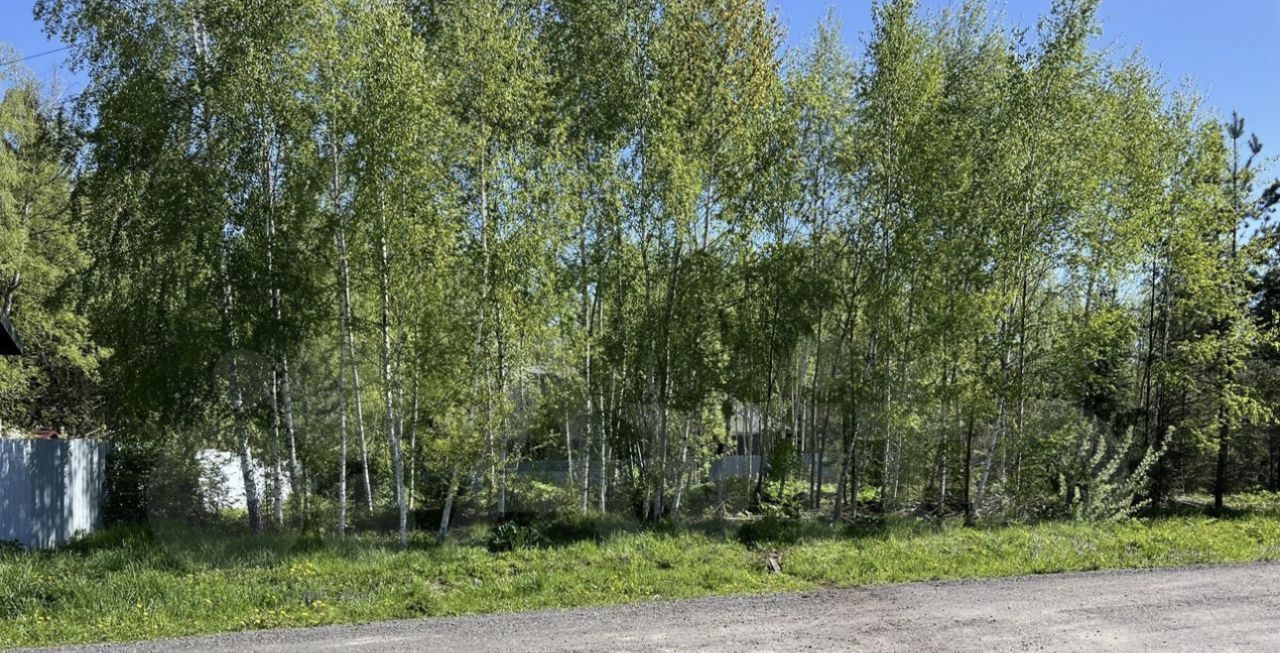 земля городской округ Чехов д Легчищево снт Солнечный ДНТ фото 2