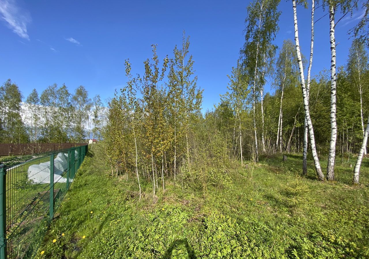 земля городской округ Можайский д Перещапово снт Искона 15, Можайск фото 3