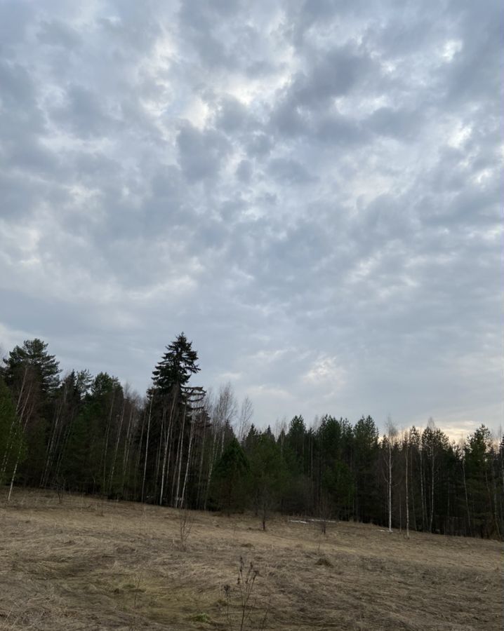 земля р-н Вяземский д Новые Дворы Вязьма фото 5