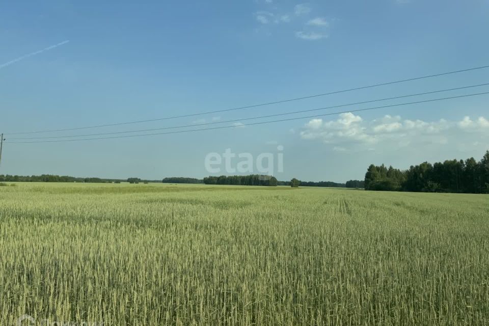 земля р-н Городецкий с Зарубино ул Озерная фото 3