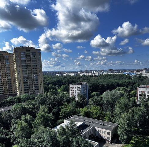 квартира метро Проспект Ветеранов округ Дачное фото