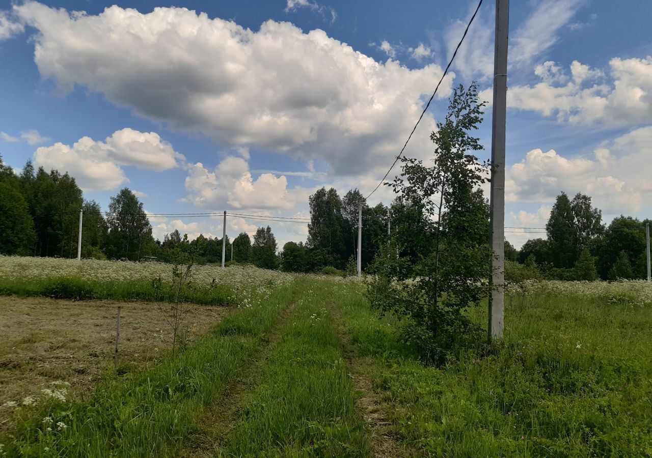 земля городской округ Шаховская д Кобылино снт Очаг 104 км, Волоколамск, Новорижское шоссе фото 4