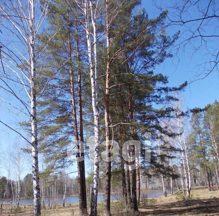 земля р-н Верхнесалдинский п Ива ул Центральная фото 8