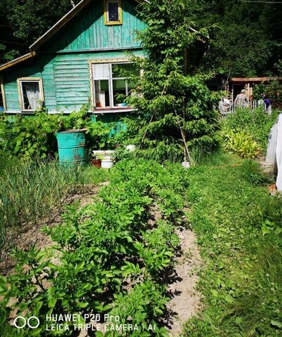 р-н Судогодский п Головино фото