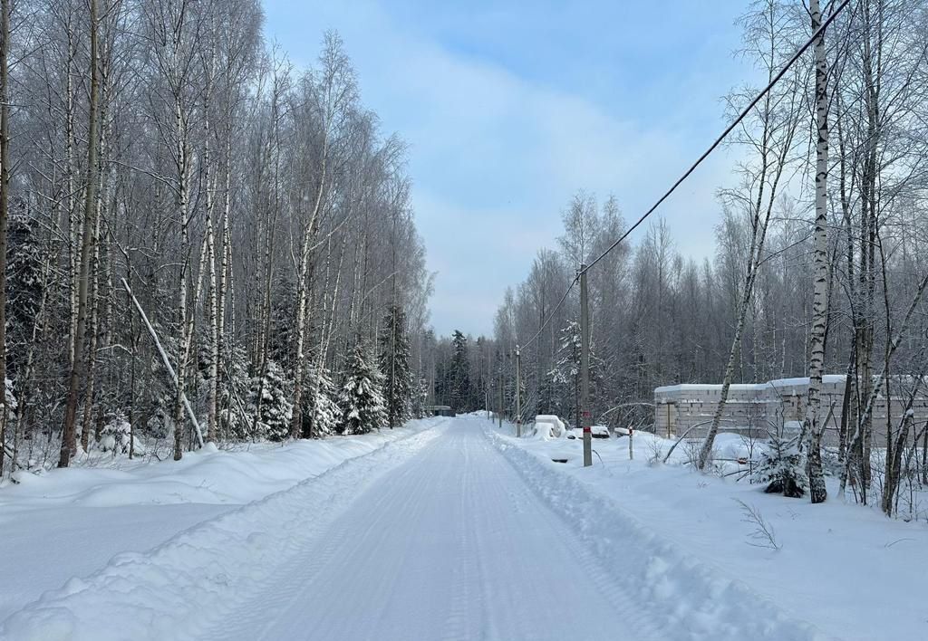 земля городской округ Раменский с Речицы 38 км, коттеджный пос. Гжельский лес, Егорьевское шоссе фото 2