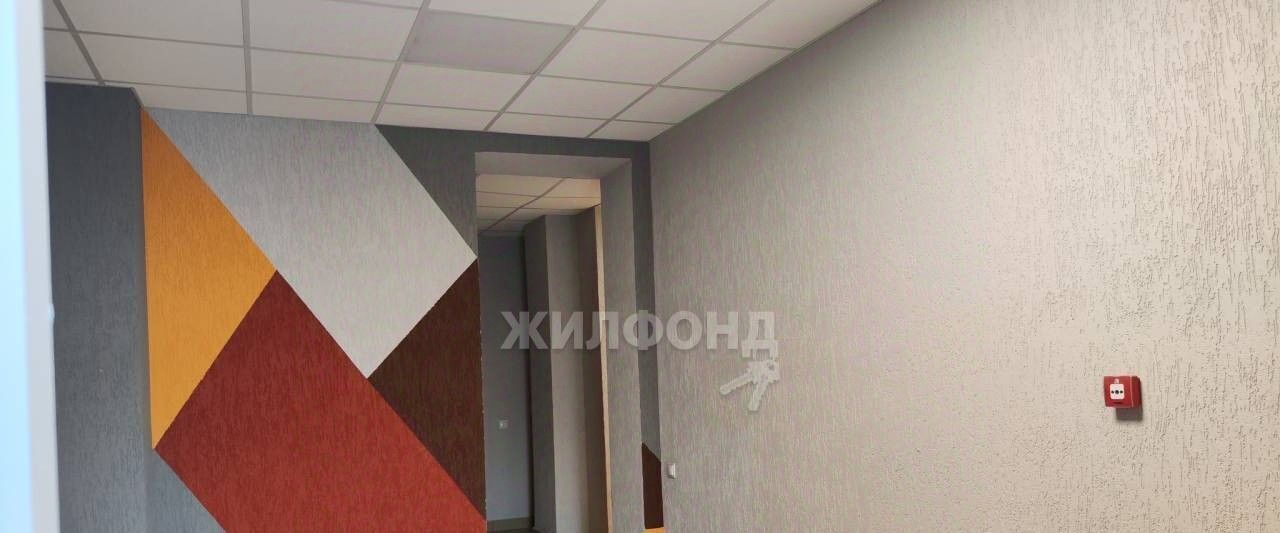 квартира г Новосибирск Золотая Нива ул Есенина 67 фото 19