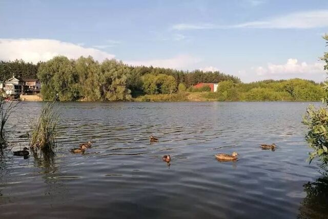 земля Богородское сельское поселение, Казань фото