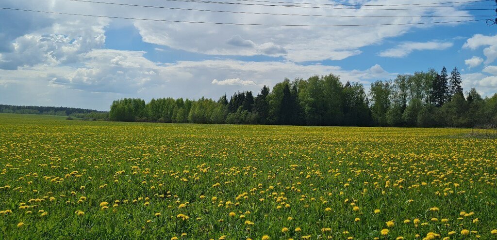 дом городской округ Солнечногорск д Судниково Зеленоград — Крюково, 63 фото 30