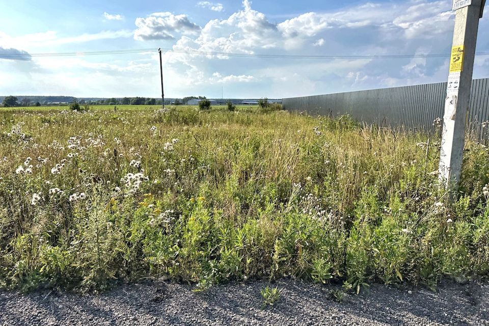 земля городской округ Истра посёлок Румянцево фото 6