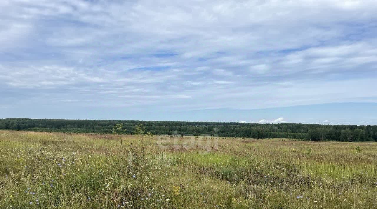 земля р-н Завьяловский д Динтем-Бодья фото 1